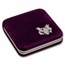 OGP Box - 1/10 oz Platinum Eagle (Vintage, Empty, No sleeve)