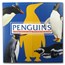 OGP Box - 2017 Falkland Islands Silver 50p Penguin Series Album