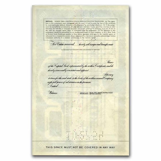 Packard Motor Car Company Stock Certificate Packard Motor Car Company Stock Certificate
