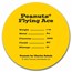 Peanuts® Snoopy Flying Ace 1 oz Gold Round