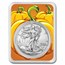 Random Year 1 oz Silver Eagle - w/Special Occasion Card, In TEP