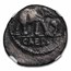 Roman AR Denarius Julius Caesar Elephant (49-48 BC) XF NGC
