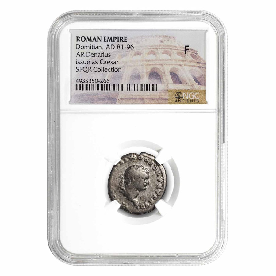 Roman Empire Denarius Domitian (81-96 AD) Fine NGC (Random Coin)
