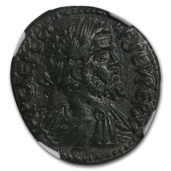 Roman Empire Tetradrachm Sept. Severus (193-211 AD) Ch XF * NGC Roman Empire Tetradrachm Sept. Severus (193-211 AD) Ch XF * NGC