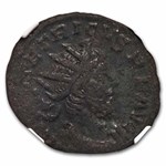 Roman Gallic Empire BI Dbl Denarius Tetricus I (271-274AD) VF NGC