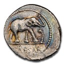 Roman Silver Denarius Julius Caesar Elephant (44 BC) AU NGC
