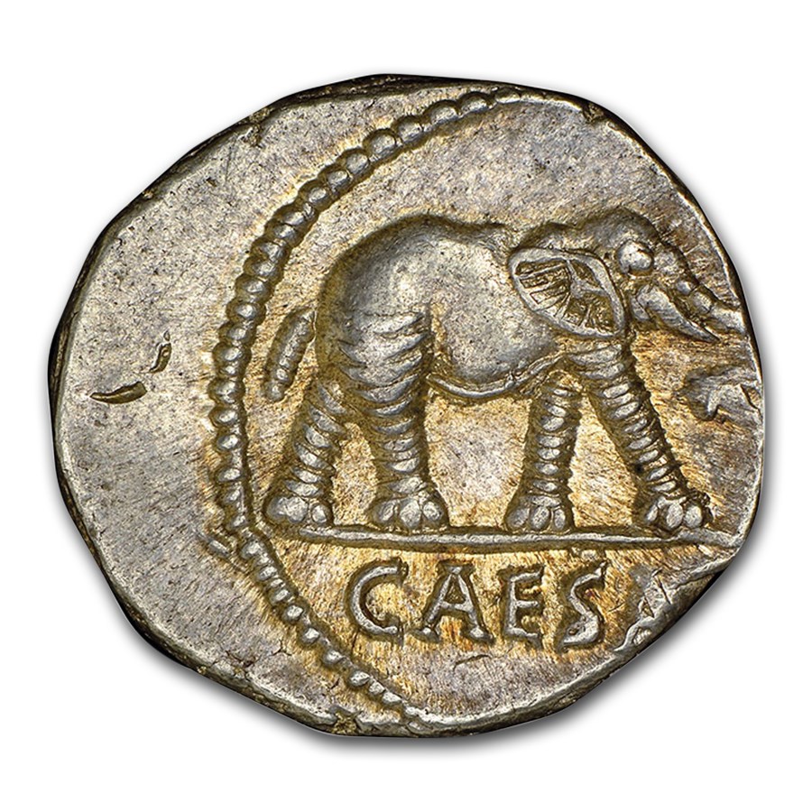 Buy Roman Silver Denarius Julius Caesar Elephant (44 BC) CH AU NGC APMEX