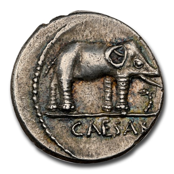 Roman Silver Denarius Julius Caesar Elephant (44 BC) Ch AU NGC Roman Silver Denarius Julius Caesar Elephant (44 BC) Ch AU NGC