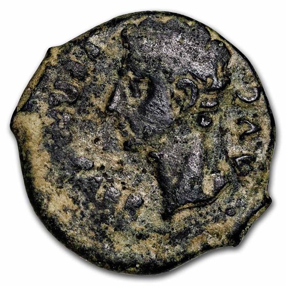 Roman Spain, Corduba AE Semis Augustus (27 BC-14 AD) VF (RPC-130) Roman Spain, Corduba AE Semis Augustus (27 BC-14 AD) VF (RPC-130)