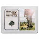 Rome Dbl Denarius Claudius II 268-270 AD VF NGC (Bicknor, Vault)