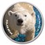 San Diego Zoo 1 oz Colorized Silver Polar Bear in TEP