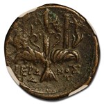 Sicily, Syracuse AE Unit (275-215 BC) VF NGC (Story Vault)