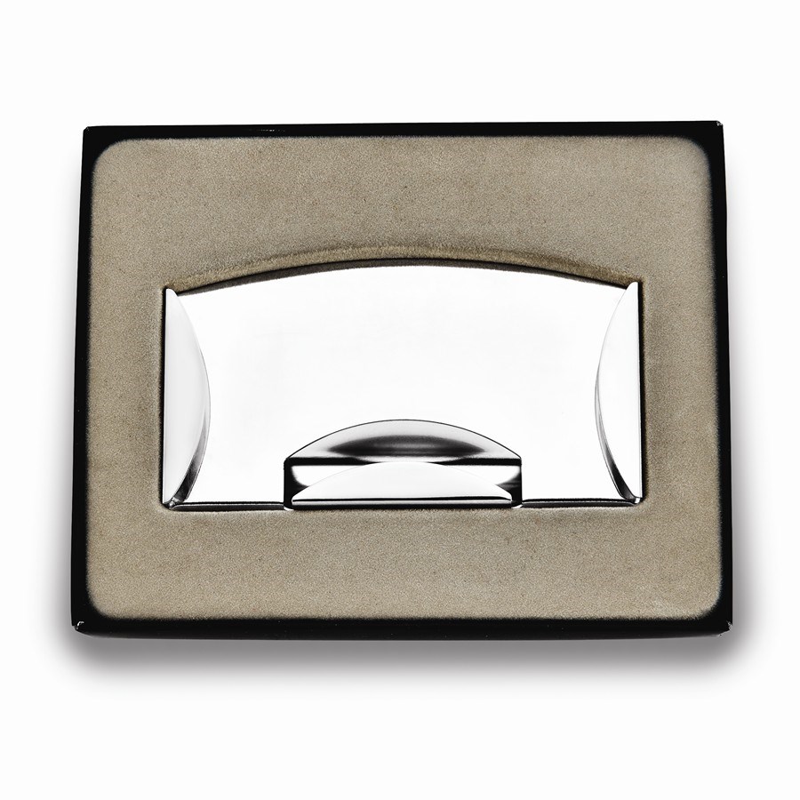 Silver-tone Money Clip & Card Case