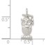 Sterling Silver Graduation Owl Charm