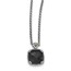 Sterling Silver w/14k Onyx Necklace