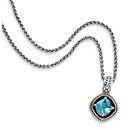 Sterling Silver w/14k Swiss Blue Topaz Necklace