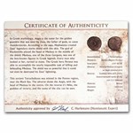 The Aegis Collection: Bronze Tetrachalkous with COA