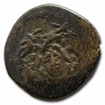 The Aegis Collection: Bronze Tetrachalkous with COA