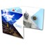 Tibet Silver 1 Tangka Lucky Coin in Decorative Folder