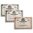 Union Pacific Corporation Stock Certificate - Set of 3