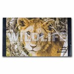 Wildlife Notes from Around the World 8-Banknote Set