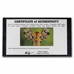 Wildlife Notes from Around the World 8-Banknote Set