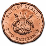 World Set 30-Odd Shaped Coins