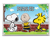 Peanuts Shaped Pieces